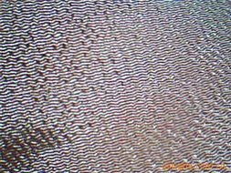 吳江市永鳴紡織品 絲綢系列面料產(chǎn)品與遮篷應(yīng)用全解析