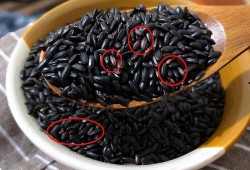 黑料不打料入口,探尋網(wǎng)絡(luò)世界的真實(shí)與虛假