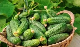 最近大瓜事件,揭秘明星隱私風波背后的真相