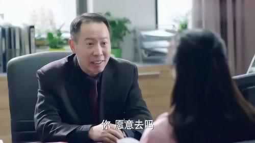 校長的欲望,共創教育輝煌未來